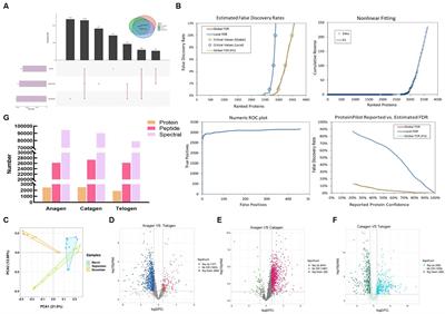 Combining multiomics to analyze the molecular mechanism of hair follicle cycle change in cashmere goats from Inner Mongolia